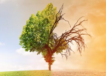 AI and climate change