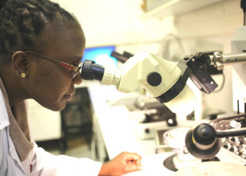 GDP, Science and Innovation