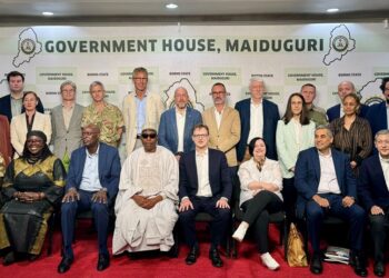 North East Ambassadors Group in Maiduguri