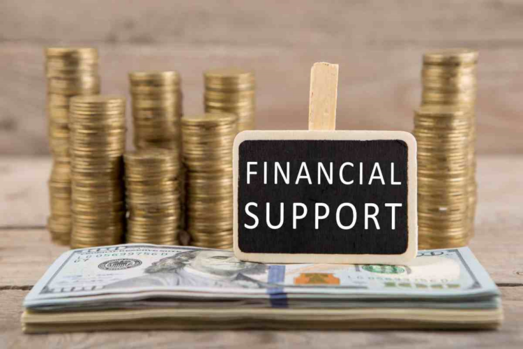 financial support and non-financial support for businesses