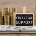 financial support and non-financial support for businesses