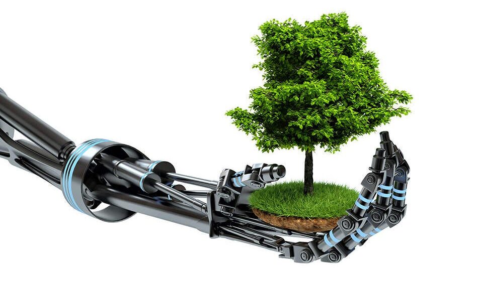 Harnessing AI for Environmental Sustainability | By: Ojo Emmanuel Ademola