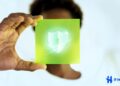 Cybersecurity’s Vital Sentinel by IT Horizon