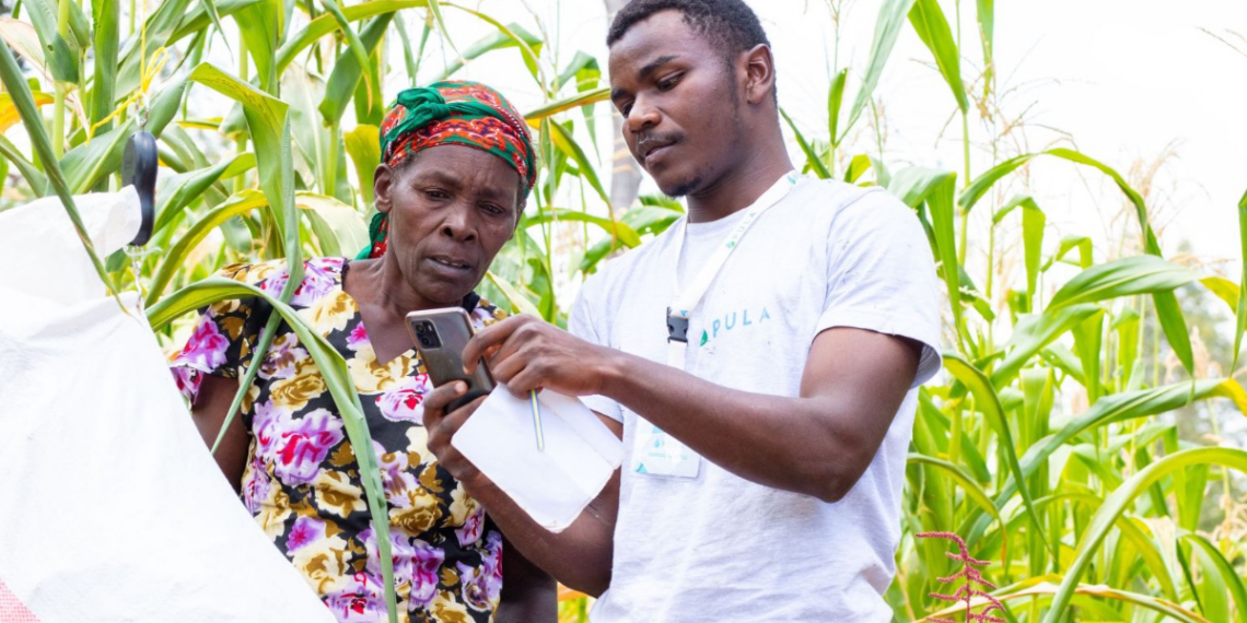 Insurtech Pula Raises $20M Series B to Empower Millions of Smallhoder Farmers