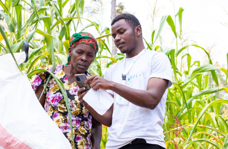 Insurtech Pula Raises $20M Series B to Empower Millions of Smallhoder Farmers