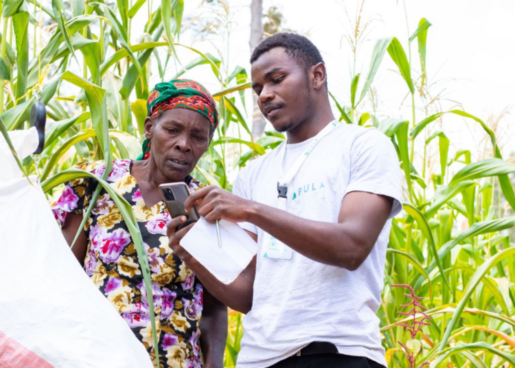 Insurtech Pula Raises $20M Series B to Empower Millions of Smallhoder Farmers