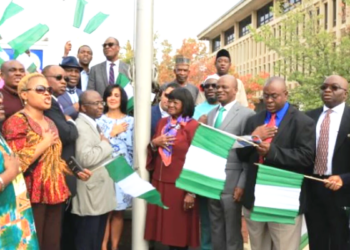 Nigerians in Diaspora fund