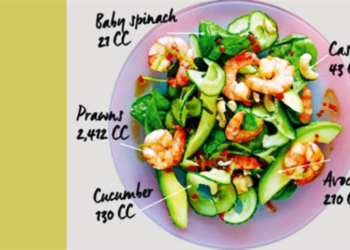 Stellenbosch University Food carbon-tracking software