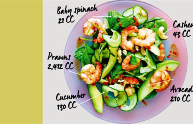Stellenbosch University Food carbon-tracking software