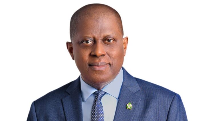 Olayemi Cardoso, Governor of the CBN and Inflation, Cybercrime Levy