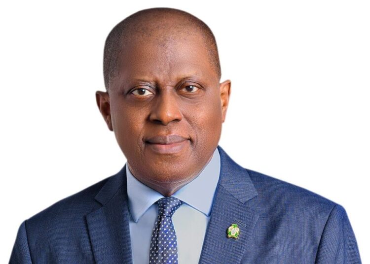 Olayemi Cardoso, Governor of the CBN and Inflation, Cybercrime Levy