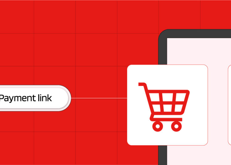 SeerBit ecommerce business