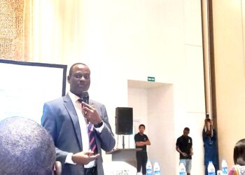 Taiwo Oyedele, Presidential Committee on Fiscal Policy and Tax Reforms and Customs Duties