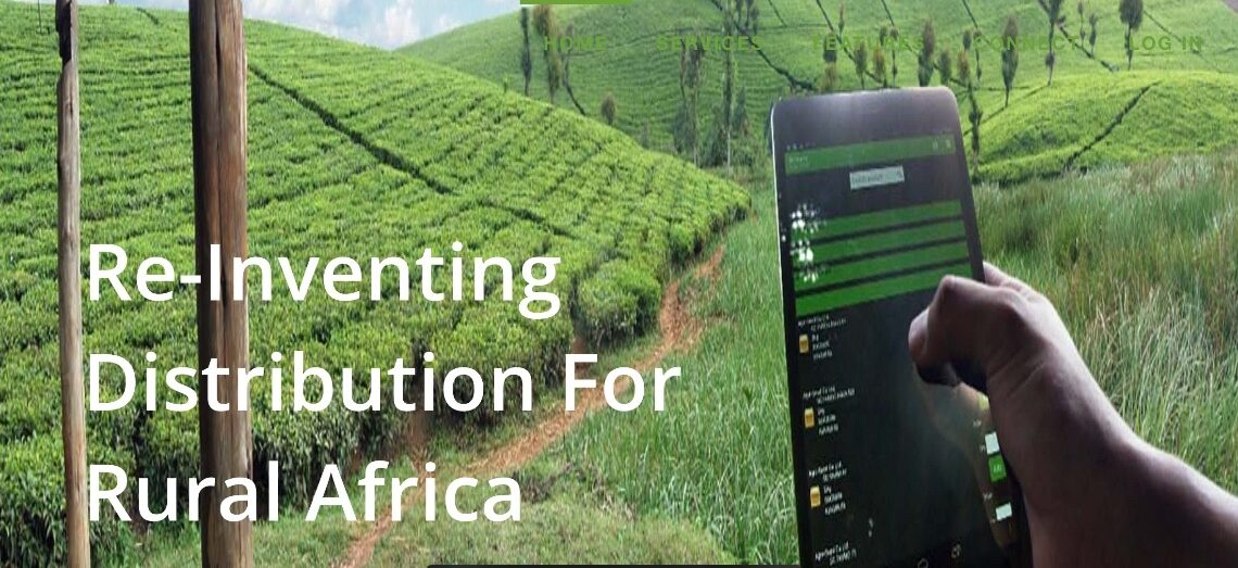 iProcure, Kenyan Agritech Startup, Seeks Bankruptcy Protection Amid Financial Struggles