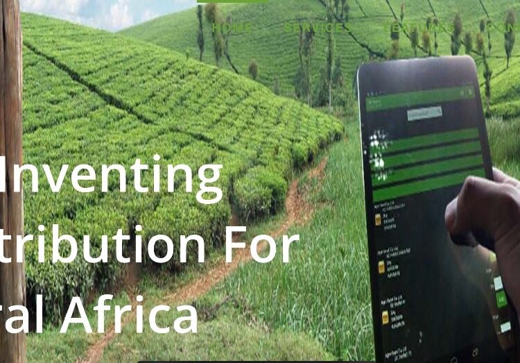 iProcure, Kenyan Agritech Startup, Seeks Bankruptcy Protection Amid Financial Struggles