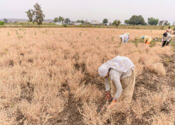 Agriculture and Trade Related Climate Measures