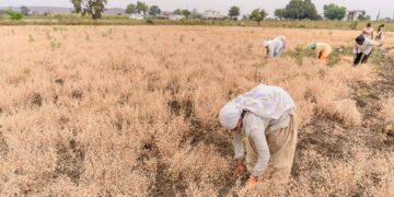 Agriculture and Trade Related Climate Measures