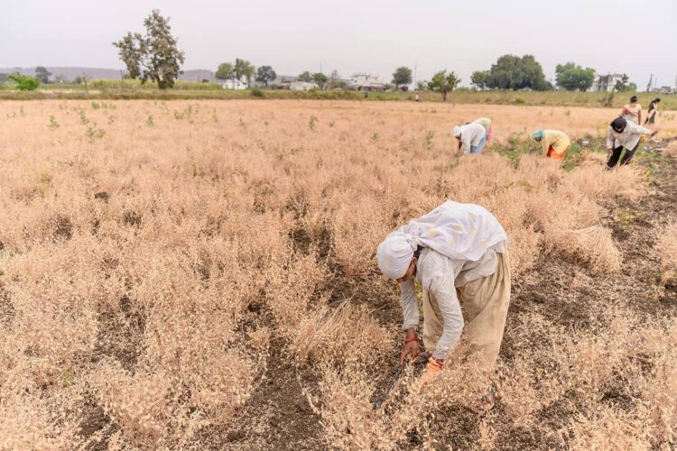 Agriculture and Trade Related Climate Measures