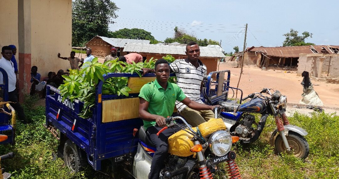 AstraZeneca and World Environment Day 2024