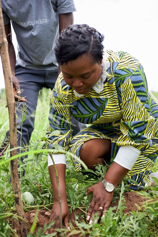 AstraZeneca tree planting