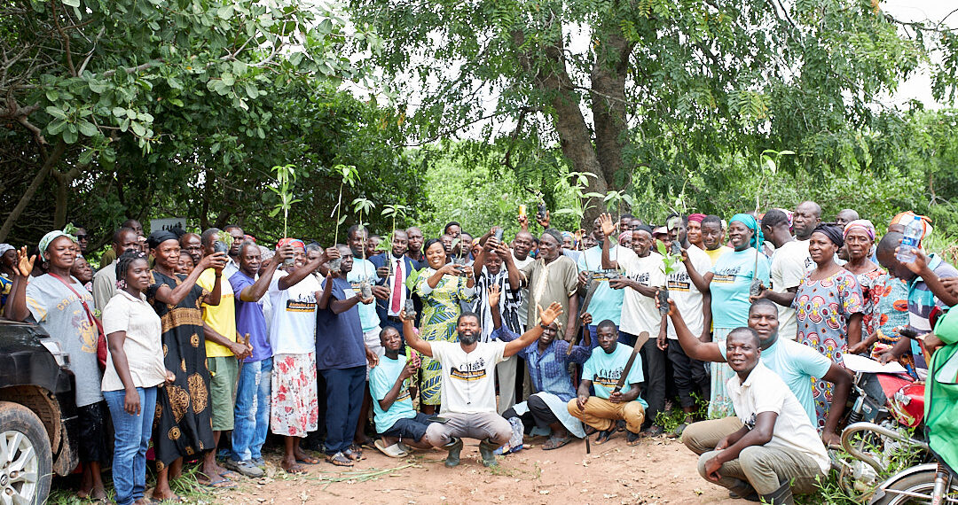 AstraZeneca tree planting