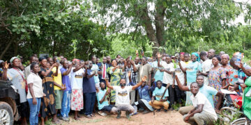 AstraZeneca tree planting