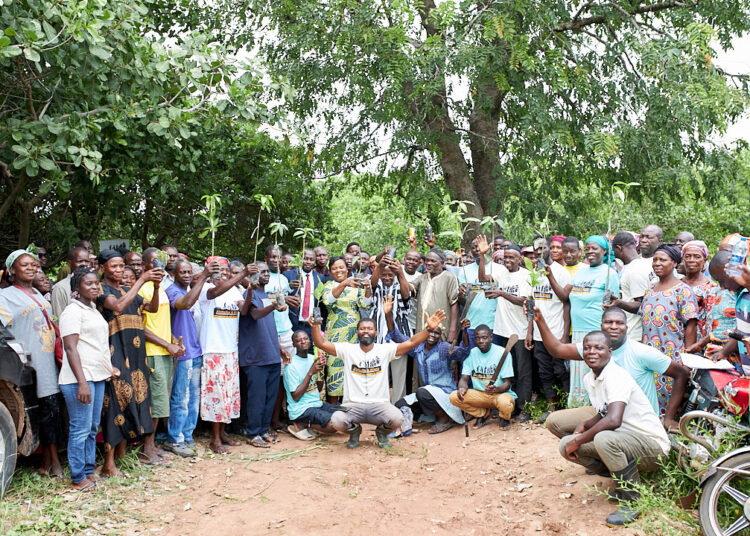 AstraZeneca tree planting