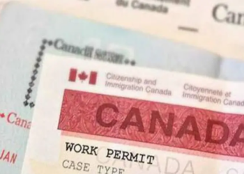 Canadian Centre for Caregiving Excellence