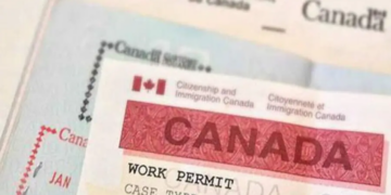 Canadian Centre for Caregiving Excellence