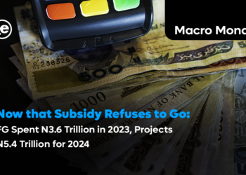 Why is FG Spending Trillions on Fuel Subsidy Despite Removal Claims?