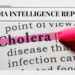 cholera outbreak in Nigeria