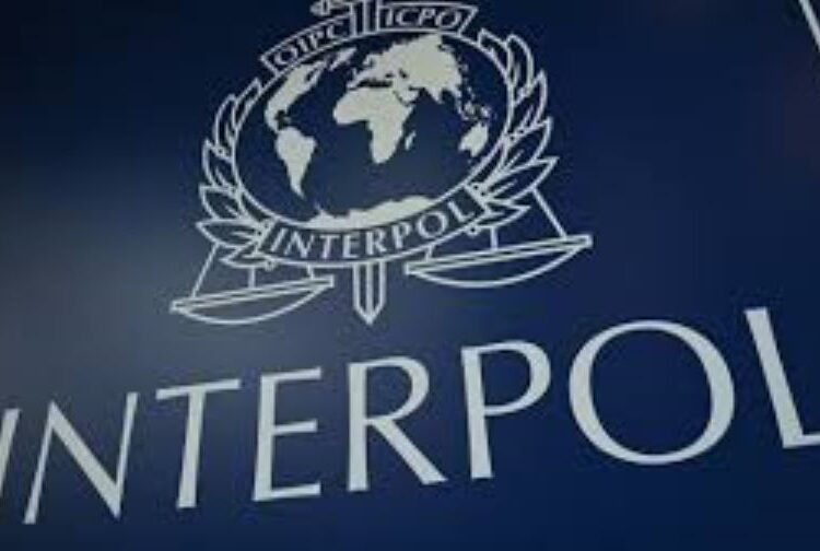 INTERPOL Confiscates $3 Million Asset,
