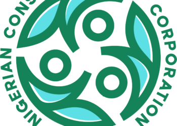 Tinubu Appoints New Consumer Credit