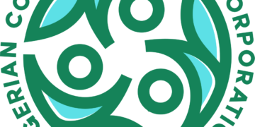 Tinubu Appoints New Consumer Credit