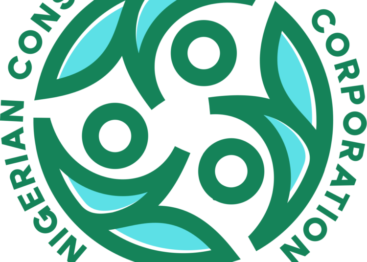 Tinubu Appoints New Consumer Credit