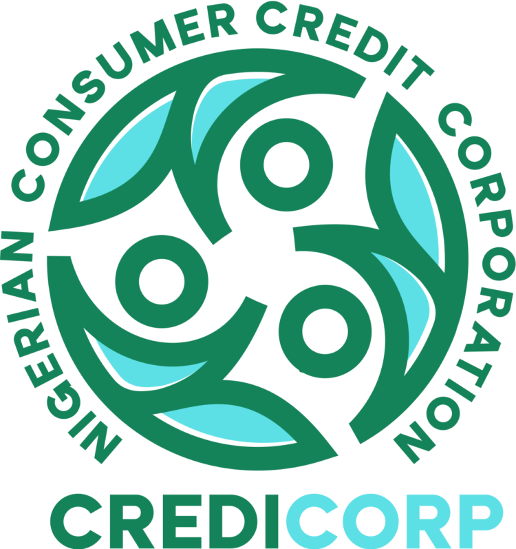 Tinubu Appoints New Consumer Credit