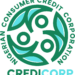 Tinubu Appoints New Consumer Credit