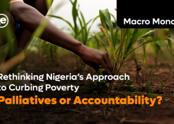 Rethinking Nigeria’s Approach to Curbing Poverty - Palliatives or Accountability?