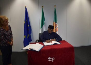 Samoa Agreement:No Provision for Nigeria To Accept LGBTQ Rights- NBA President Maikyau