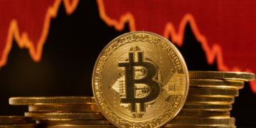 Bitcoin Searches Surge 223% Amid Cryptocurrency Crash