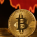 Bitcoin Searches Surge 223% Amid Cryptocurrency Crash