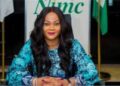 How NIN Project made N8.6bn