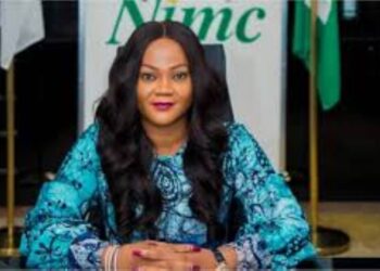 How NIN Project made N8.6bn