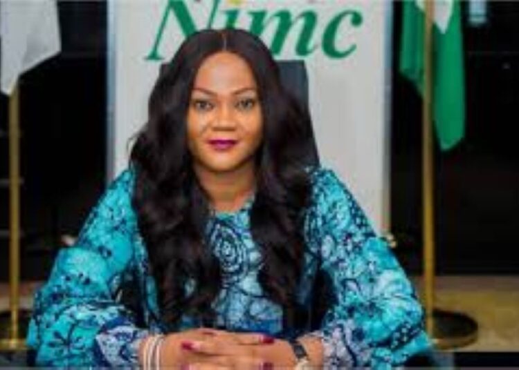 How NIN Project made N8.6bn