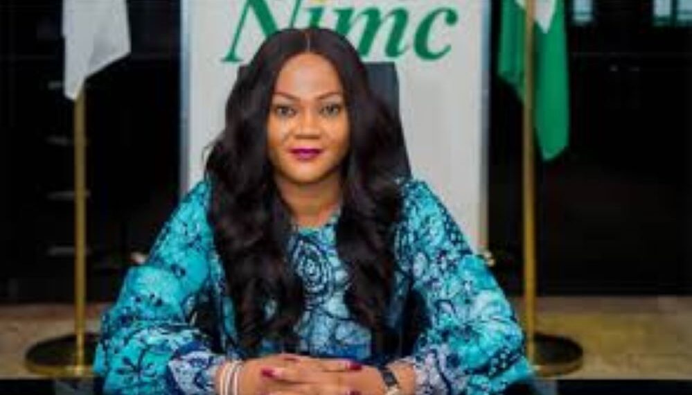 How NIN Project made N8.6bn