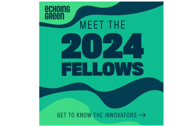 Echoing Green Fellows