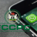 FCCPC and WhatsApp