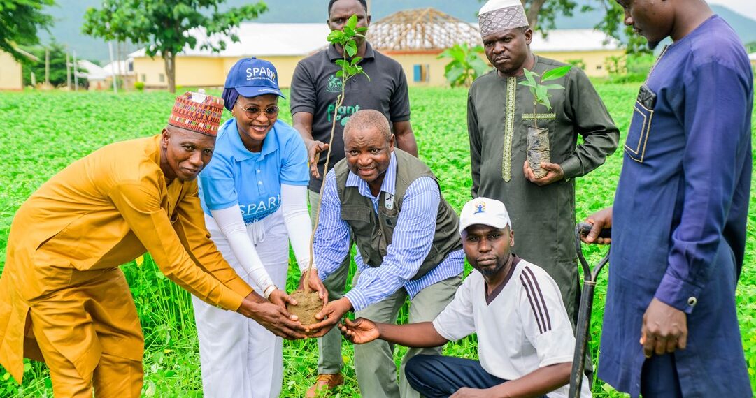 FirstBank and Nigerian Conservation Foundation plant 50,000 trees
