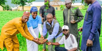 FirstBank and Nigerian Conservation Foundation plant 50,000 trees