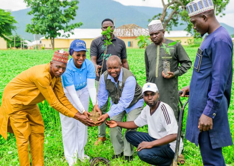 FirstBank and Nigerian Conservation Foundation plant 50,000 trees